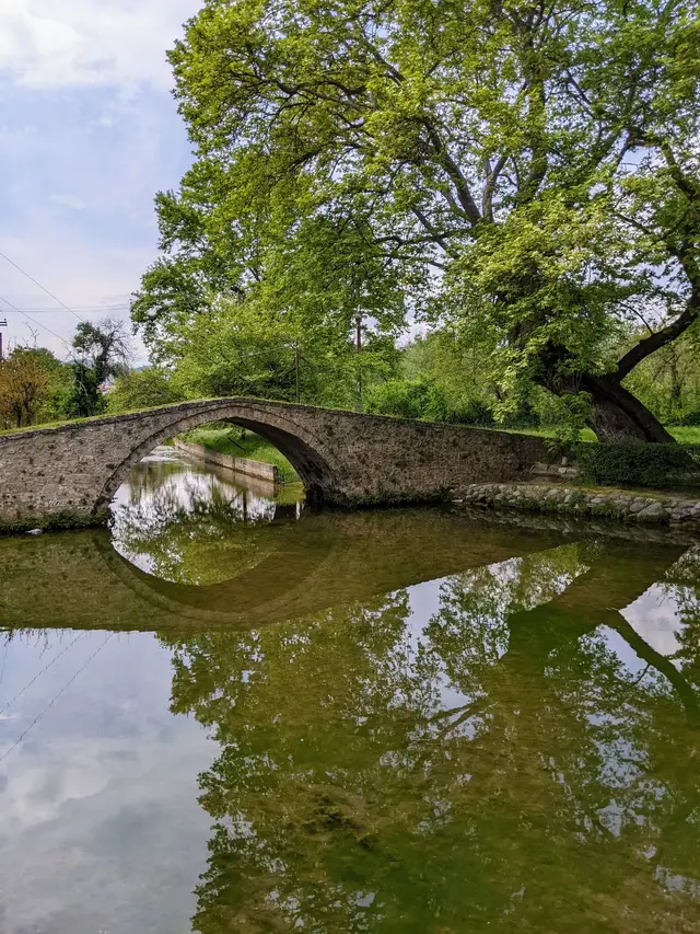 Kioupri, the old stone arch bridge in Edessa, with a plane tree reflected in the still water, on a Salty Soil day trip from Thessaloniki