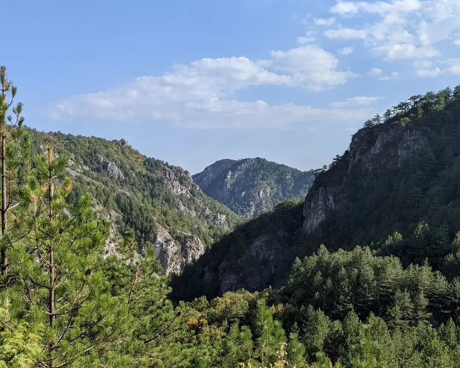 Δασώδες φαράγγι ανάμεσα σε βραχώδεις κορυφές στο όρος Βόρας, σε ημερήσια εκδρομή της Salty Soil στο Πόζαρ από τη Θεσσαλονίκη