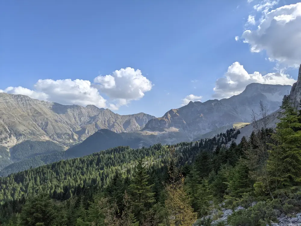 Fir forests below the limestone peaks of the Pindus mountains in Epirus, on a Salty Soil private multi-day tour of Greece
