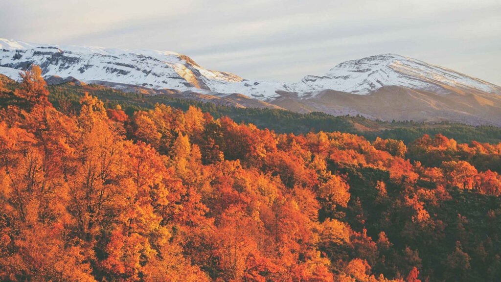 Autumn colors in Zagori, Greece - Salty Soil