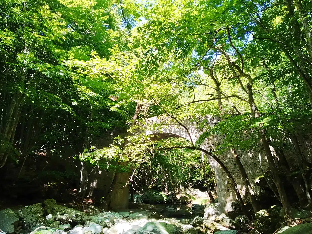Stone bridge hidden inside North Pelio, experiences in Greece with SaltySoil