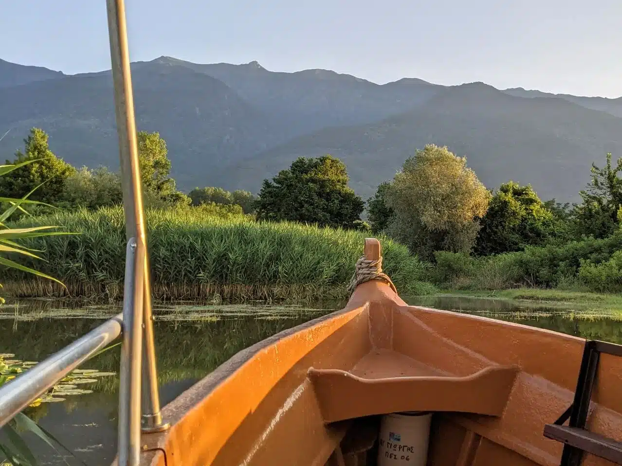 Boat tour at Kerkini lake, day trips with Salty Soil Thessaloniki.