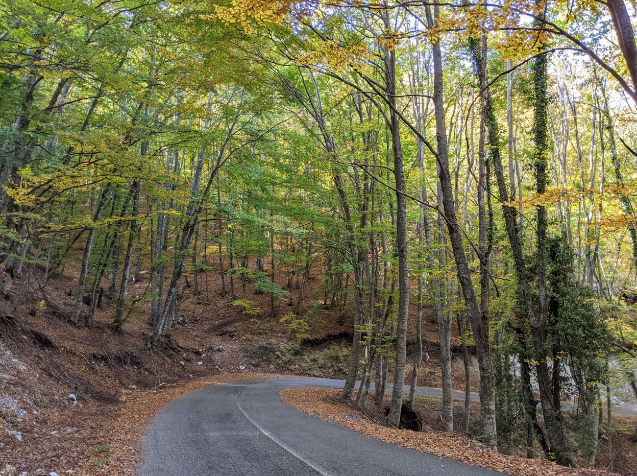 The road towards Agios Dionissos in Olympus mountain, experiences in Greece with SaltySoil