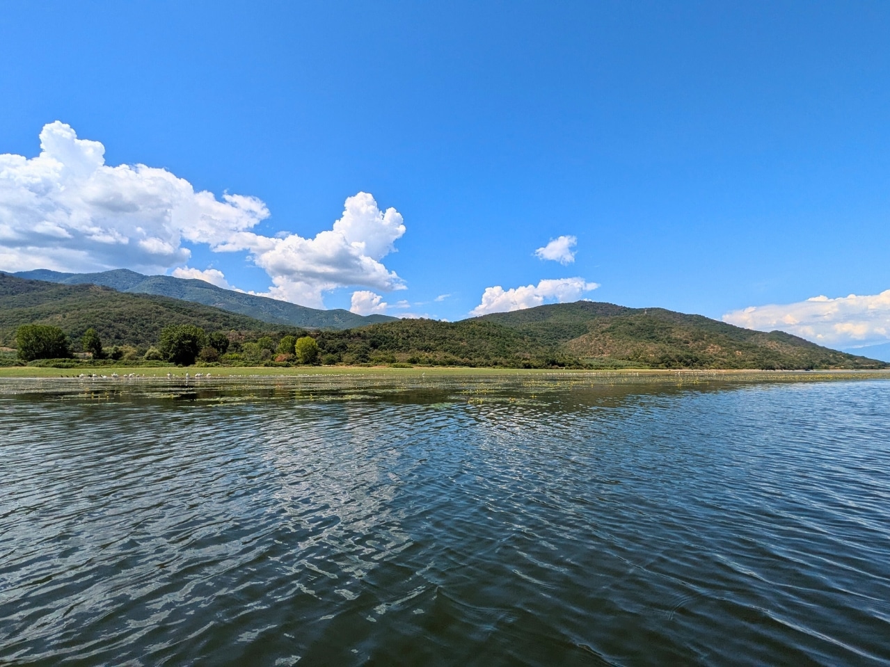 Panoramic view of Lake Kerkini with calm water, green hills, and blue sky during a nature experience in Greece with Salty Soil