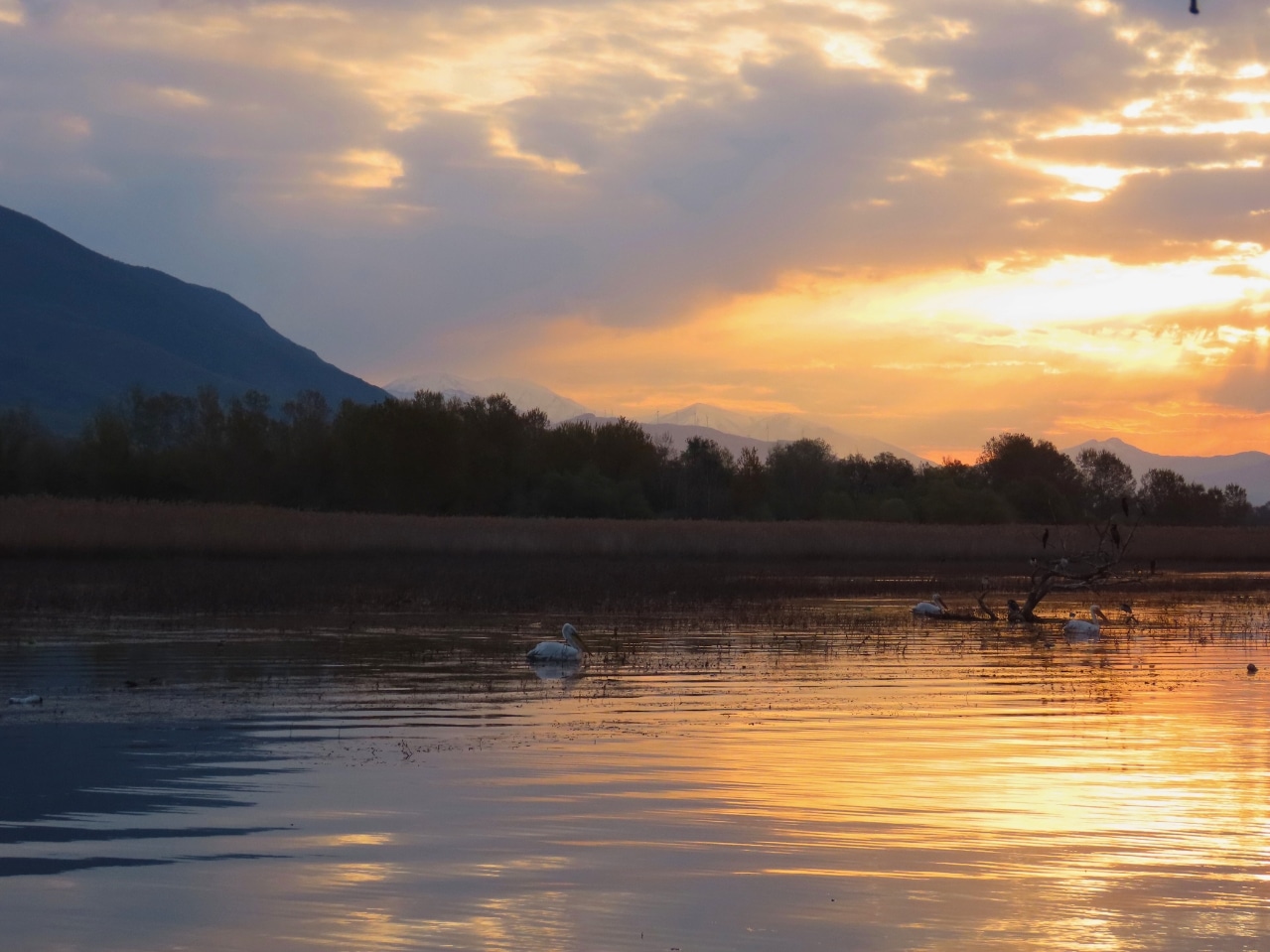 Sunset landscape over Lake Kerkini with mountains, trees, and glowing sky during a Salty Soil experience in Greece